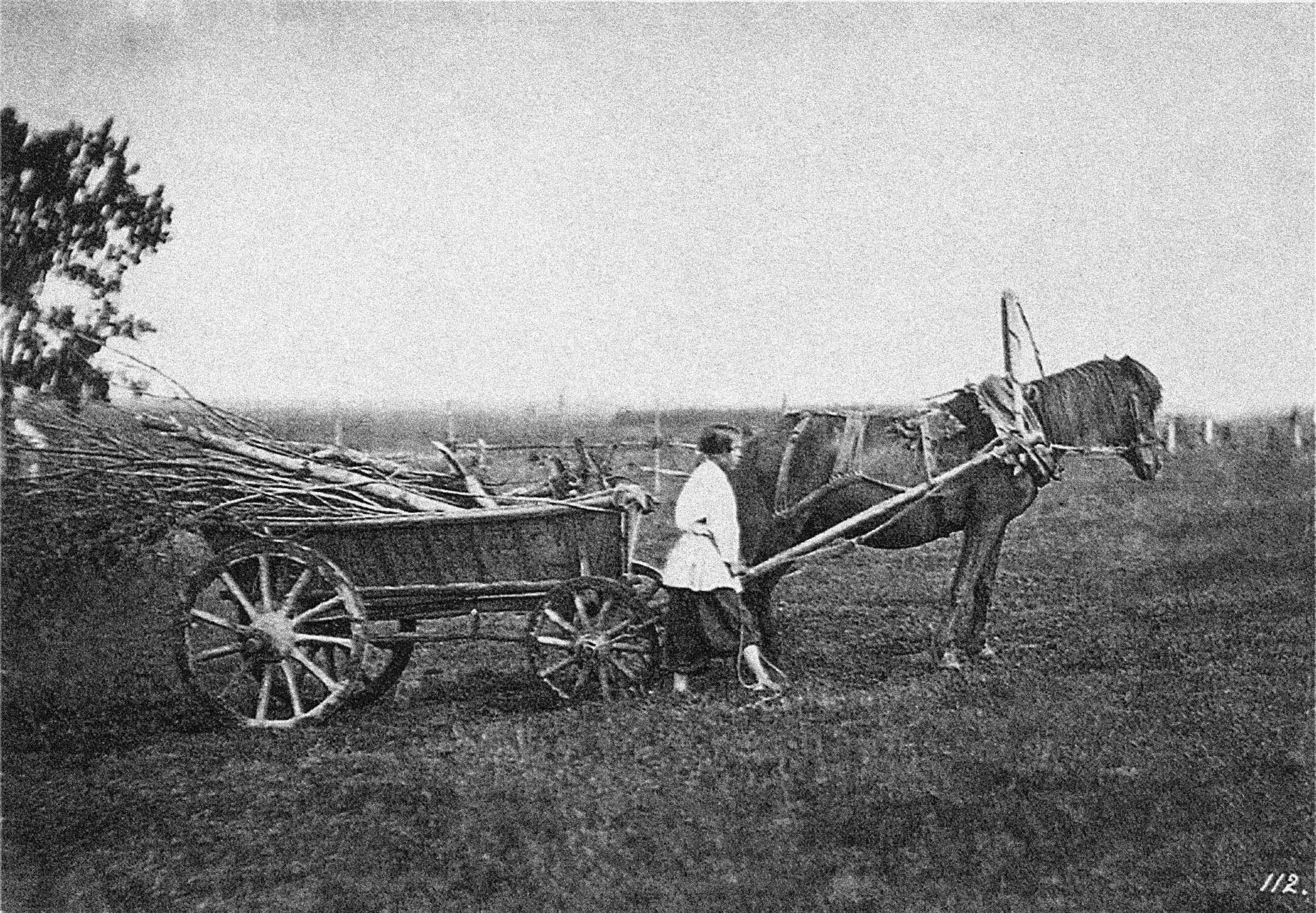 Крестьянин 20. Россия 19 век крестьяне. Крестьяне в 19 веке в России. Сельское хозяйство России 19 век. Крестьяне Российской империи 19 века.